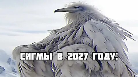 Птица из 2027 как называется
