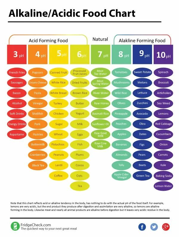 Alkaline перевод. Alkaline foods. Acid+Alkaline. Таблица PH продуктов. Acidic food.