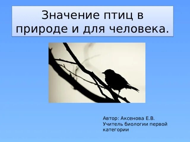 Значение птиц для человека. Значение птиц в природе. Значение птиц в природе и жизни человека. Важность птиц в природе. Значение птиц в жизни человека сообщение