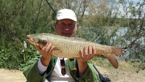 Самая большая рыба на удочку