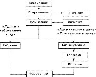 Составить схему курица