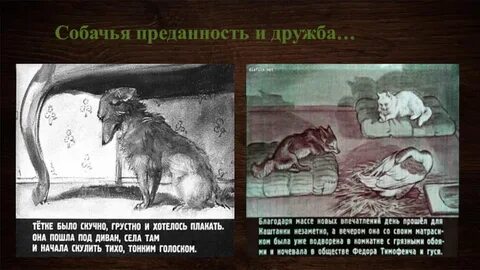 Преданность рассказ