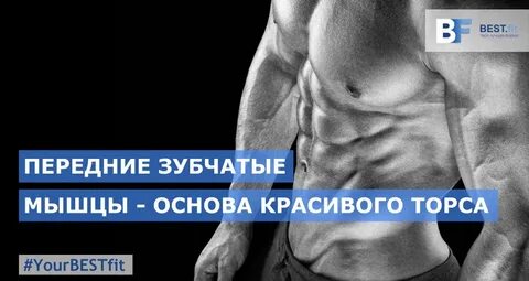 Упражнения на переднюю зубчатую
