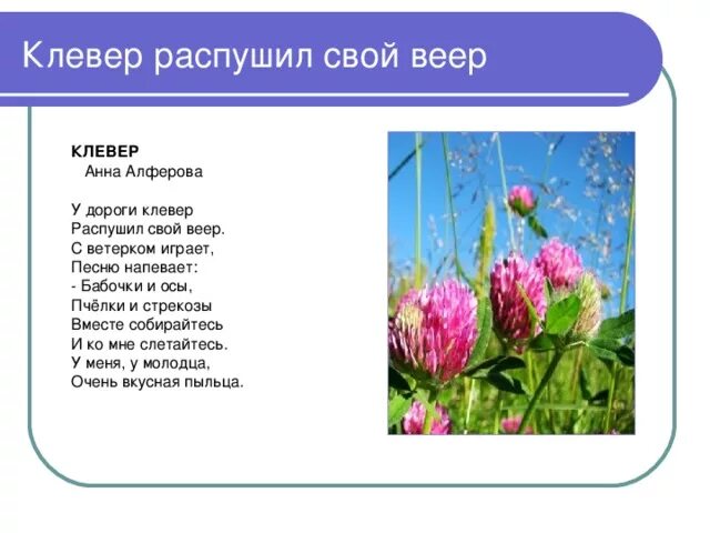 Погружался я в море клевера эпитеты