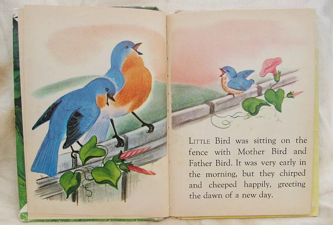 I a bird перевод. Little Bird стихотворение. Рассказ the little Bird. Little Bird с человеком. Busy little Bird рассказ.