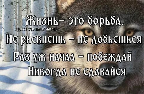 Вся жизнь борьба за счастье 178