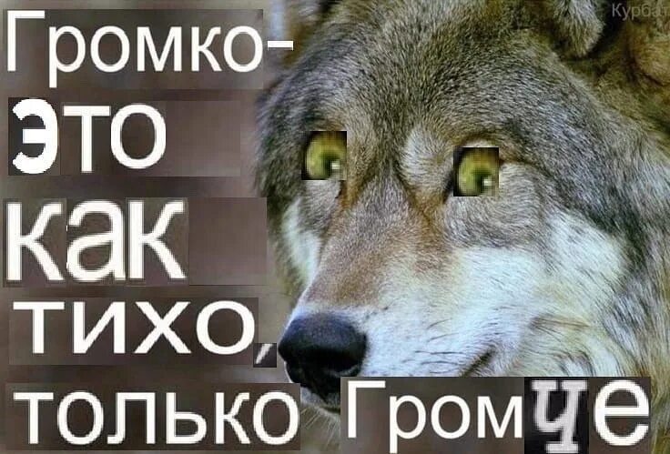 Про ауф. Цитаты волка. волк мем. цитаты волка мем ауф.
