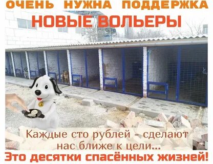 Приют 4 лапки днр