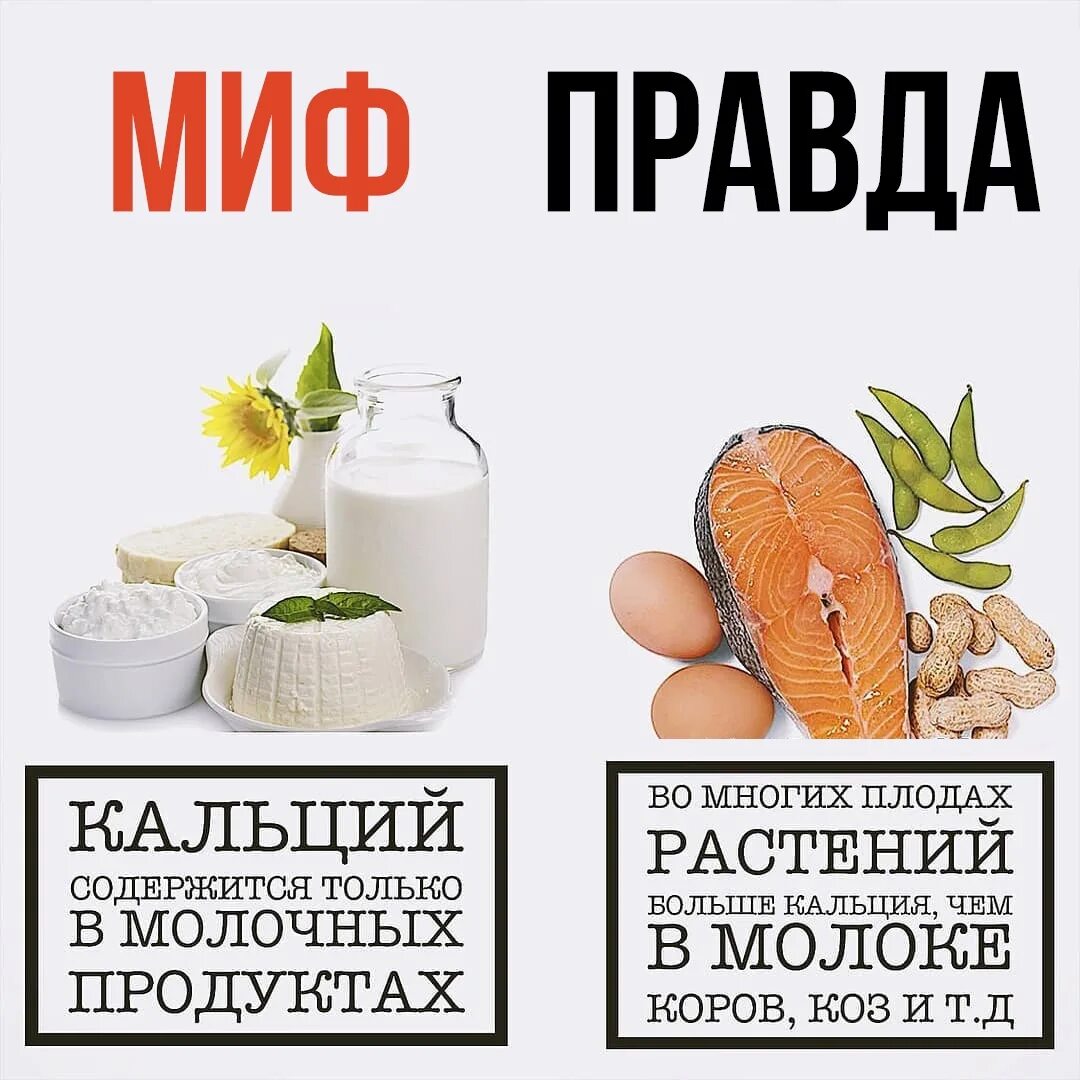 Мифы и правда про. Миф правда. Мифы и реальность. Правда или миф. Миф и правда про продукты.