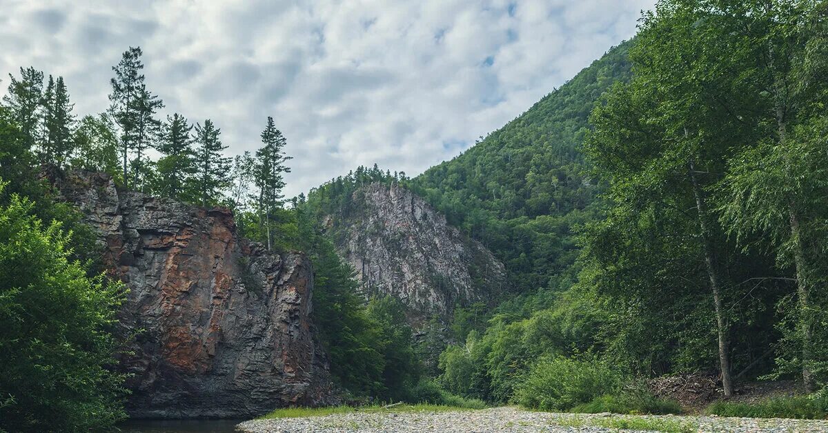 Река тигровая приморский. Парк зов тигра приморский край. милоградовка приморский край. река тигровая утес приморский край. река милоградовка.