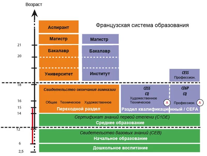 Схема современной системы образования во Франции. Структура образования во Франции схема. Система обучения во Франции схема. Образовательная система Франции. Сборники система образования