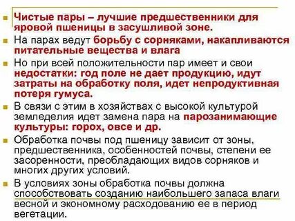 Чистым паром