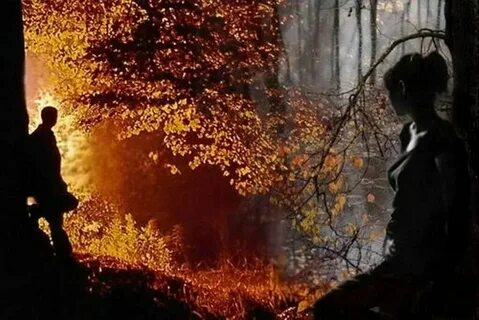Вечером солнце купается в багровых туманах
