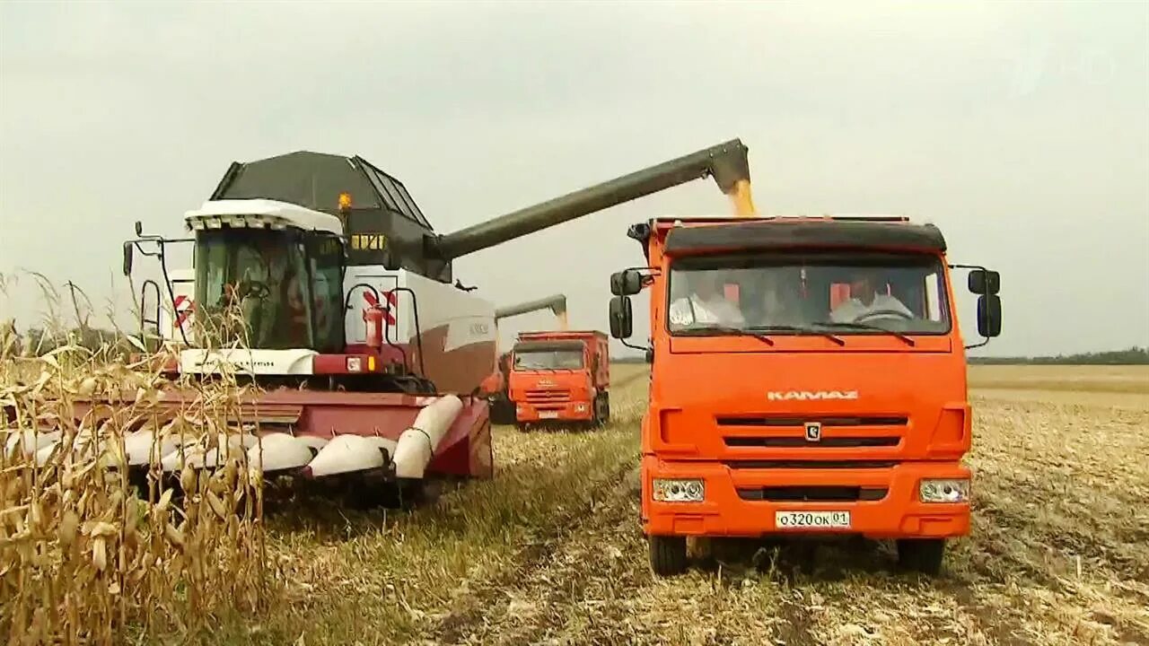 Хозяйство Республика Адыгея. Отрасли сельского хозяйства в Республике Адыгеи. АПК Республики Адыгея. Растениеводство Республики Адыгея. Апк северного кавказа