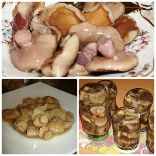 Можно ли солить маслята