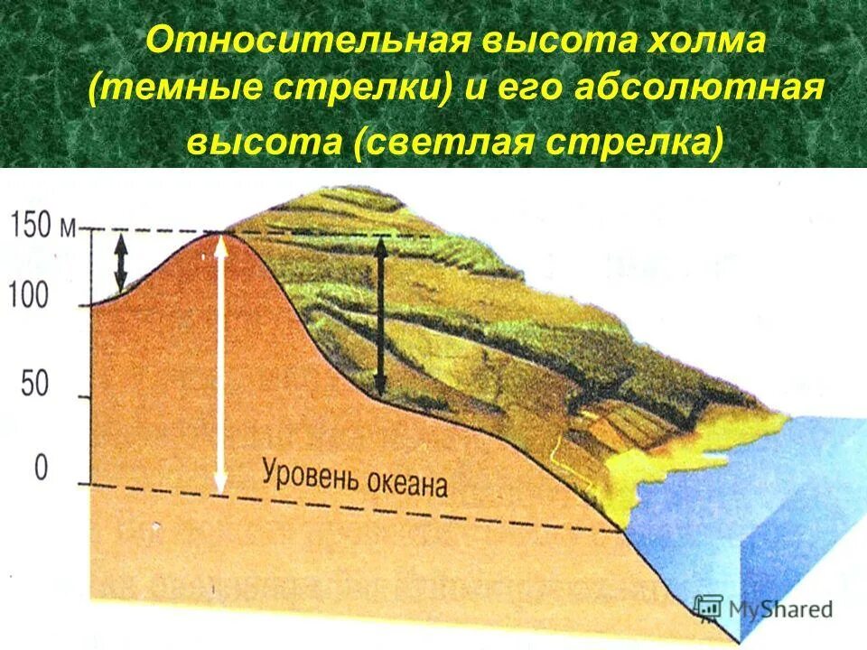 Абсолютная высота озера. Абсолютная и Относительная высота. Абсолютная высота холма. Абсолютная и Относительная высота холма. Относительная высота рельефа.