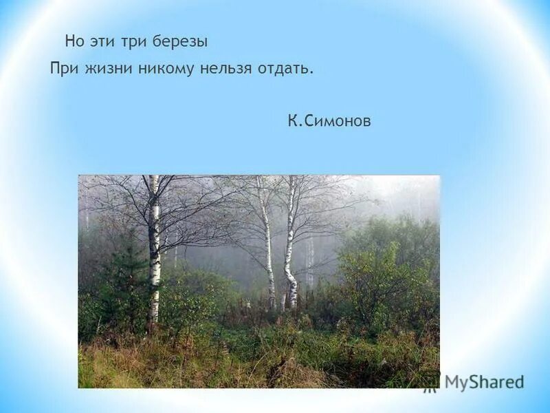 Грянул год пришел черед нынче. Три березы Симонов. Но эти три березы при жизни. Но эти три березы при жизни никому нельзя отдать. Стихотворение эти три березы.