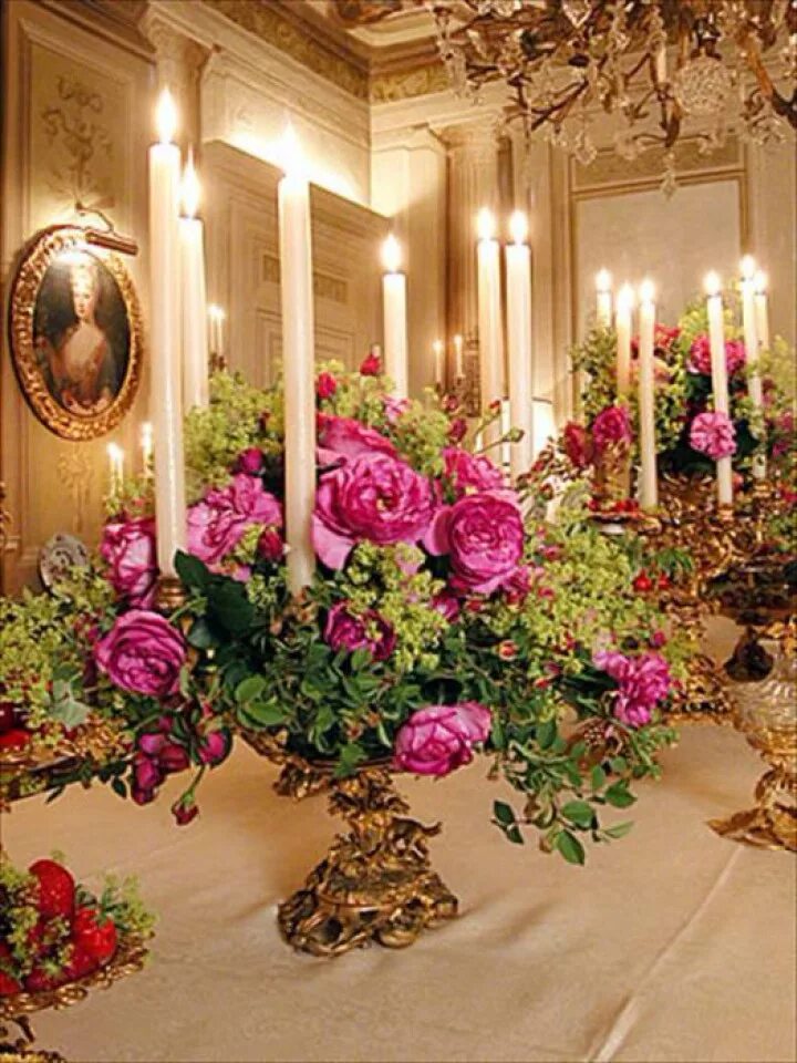 цветы в богатых домах. цветы в богатых домах. вилла с пальмами. комнатные растения в классическом интерьере. цветы в богатых домах.