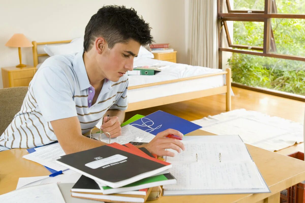 Study homework. Intrapersonal learner. вопросы do homework. do homework эстетика. intrapersonal of learning.