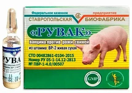 Рожа свиней вакцинация