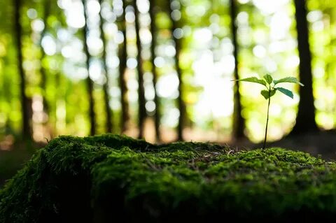 Environmentally safe