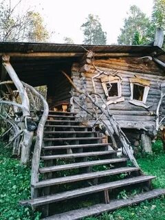 Кикиморы в кирове