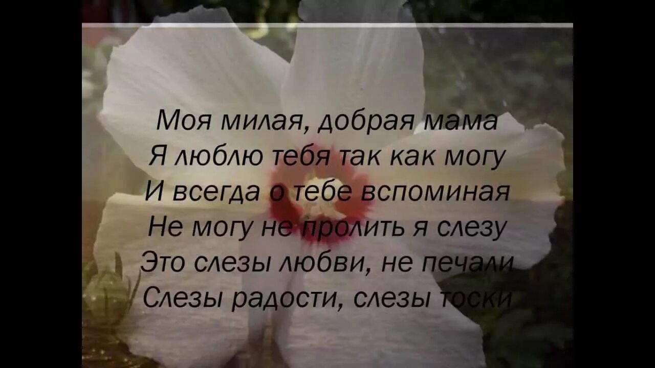 Стихи в память о маме. Стихи об ушедшей маме. Стихи о покойной маме. Поздравление маме которой нет в живых. Родились после смерти матери