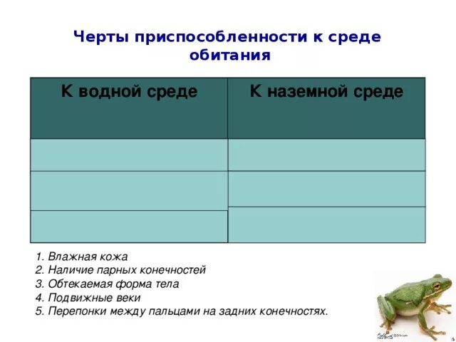 Черты приспособленности к среде. Черты приспособленности к водной среде. Черты приспособления к среде обитания. Черты приспособления к среде.