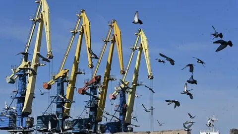 Работа бердянск