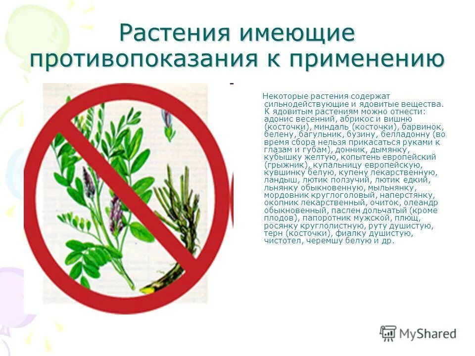 Опасные комнатные растения. Сильнодействующие и ядовитые растения. Ядовитые растения кузбасса. Ядовитые растения таблица. Ядовитые и сильнодействующие лекарственные растения.