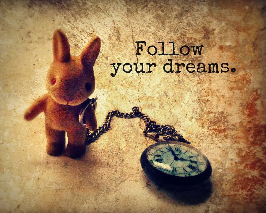 Follow to your dream картинки. Follow me dreams. Follow your dreams. Follow me dreams. Follow me dreams.