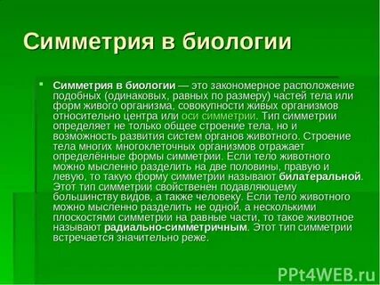 Симметрия в биологии