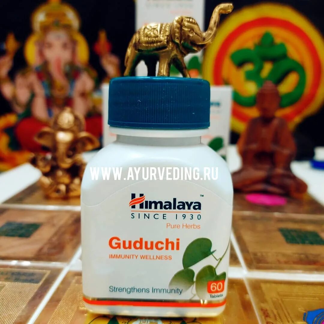 Гудучи (Guduchi) Himalaya. Гудучи - иммуномодулятор / Guduchi Himalaya 60 табл.. Гудучи, 60 таб, производитель Хималая Guduchi, 60 Tabs, Himalaya. Himalaya Herbals ним Гудучи.