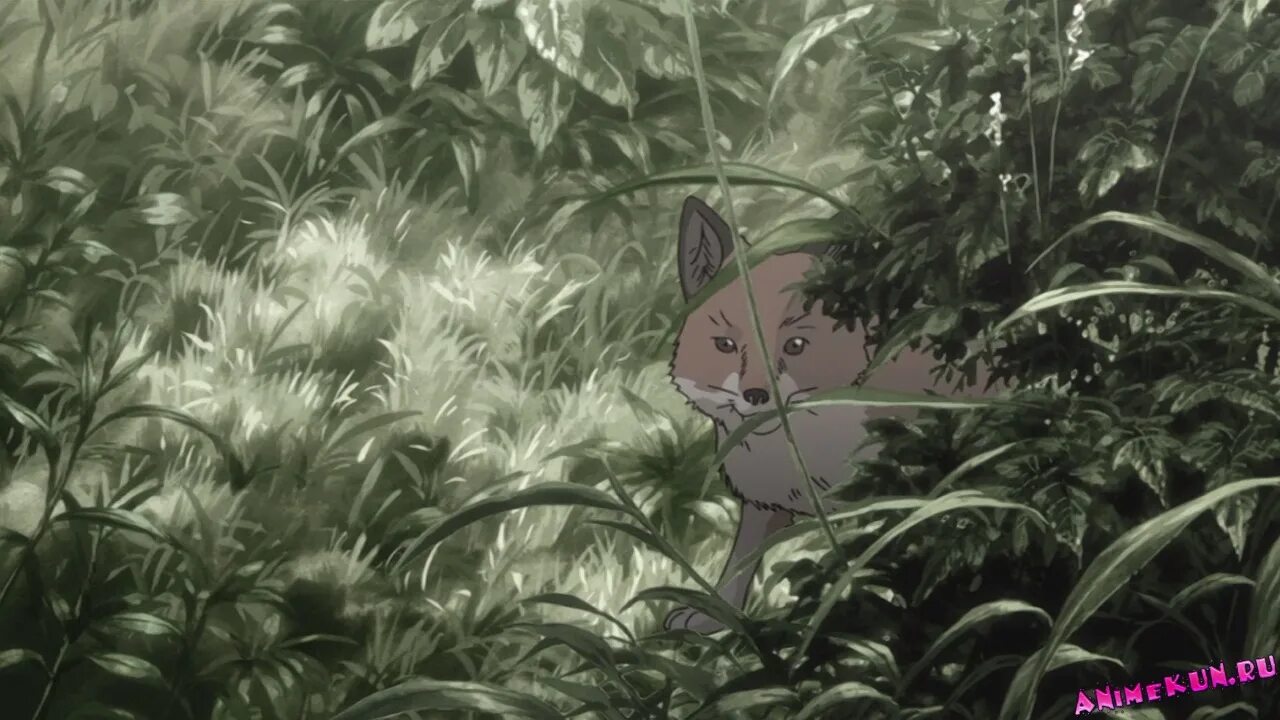 Мастер муси 2006. Mushishi Manga.