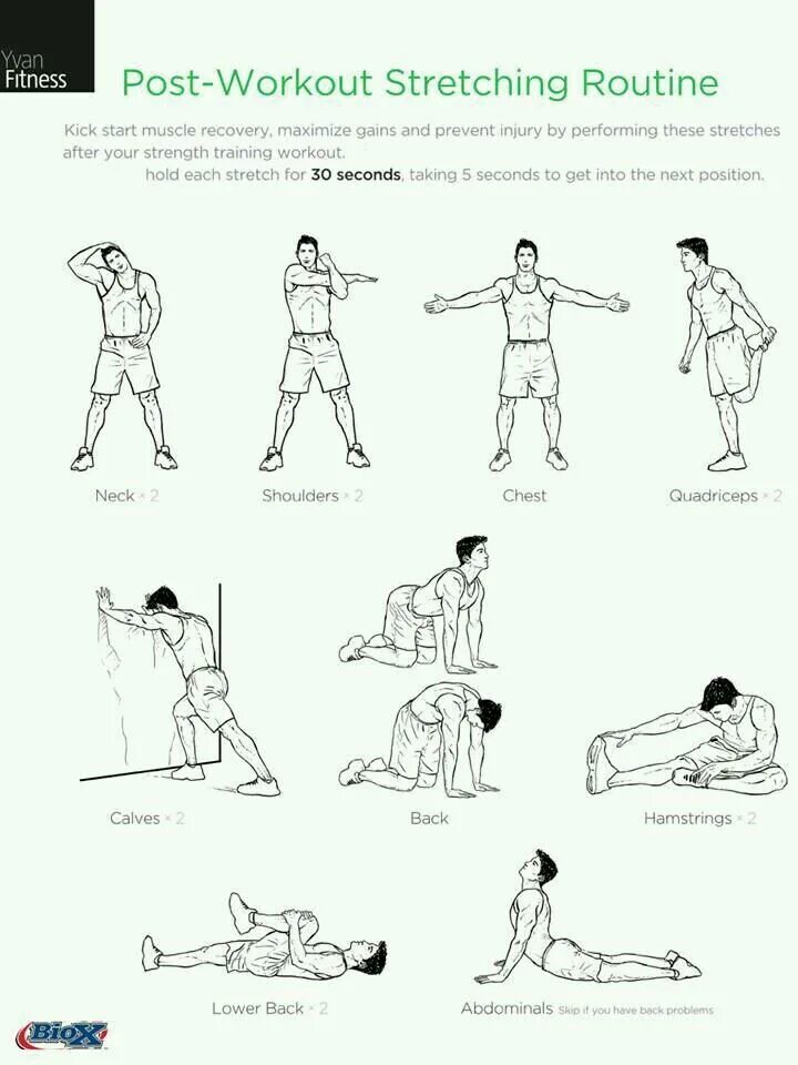 Exercises post. Динамическая растяжка упражнения. Динамическая растяжка мышц. Растяжка после силовой тренировки для мужчин. Растяжка мышц после тренировки для мужчин.
