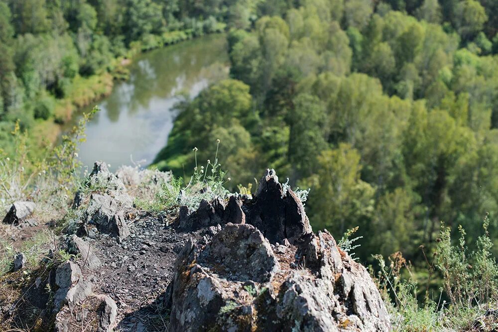 Экотропа бердские скалы. Тропа зверобой бердские скалы. Гора зверобой новосибирская область. Тропа зверобой. Экологическая тропа зверобой бердские скалы.