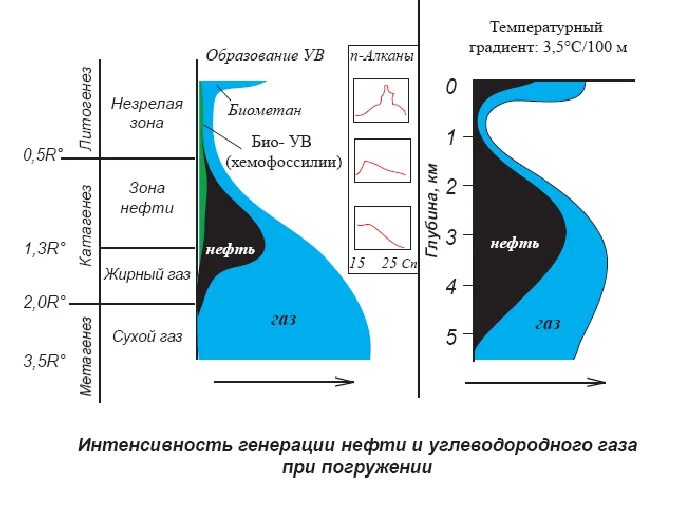 Формирование нефти и газа. Схема вертикальной зональности нефтегазообразования. Зоны образования нефти и газа. Вертикальная зональность образования углеводородов. Вертикальная зональность.