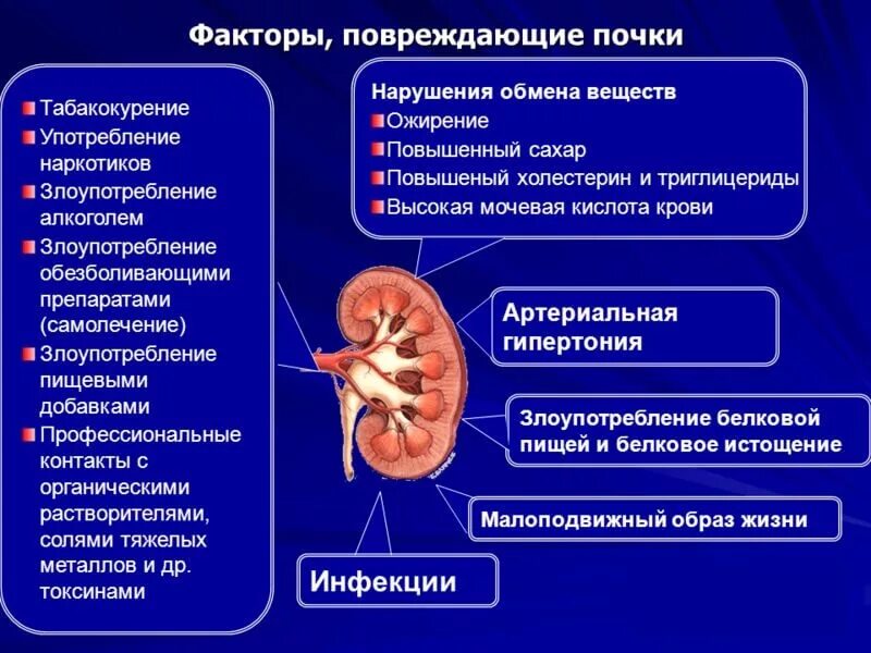 Белки при пиелонефрите. Хронические заболевания почек перечислить. Факторы повреждающие почки. Основные причины заболевания почек. Причины заболеваний почек причины.