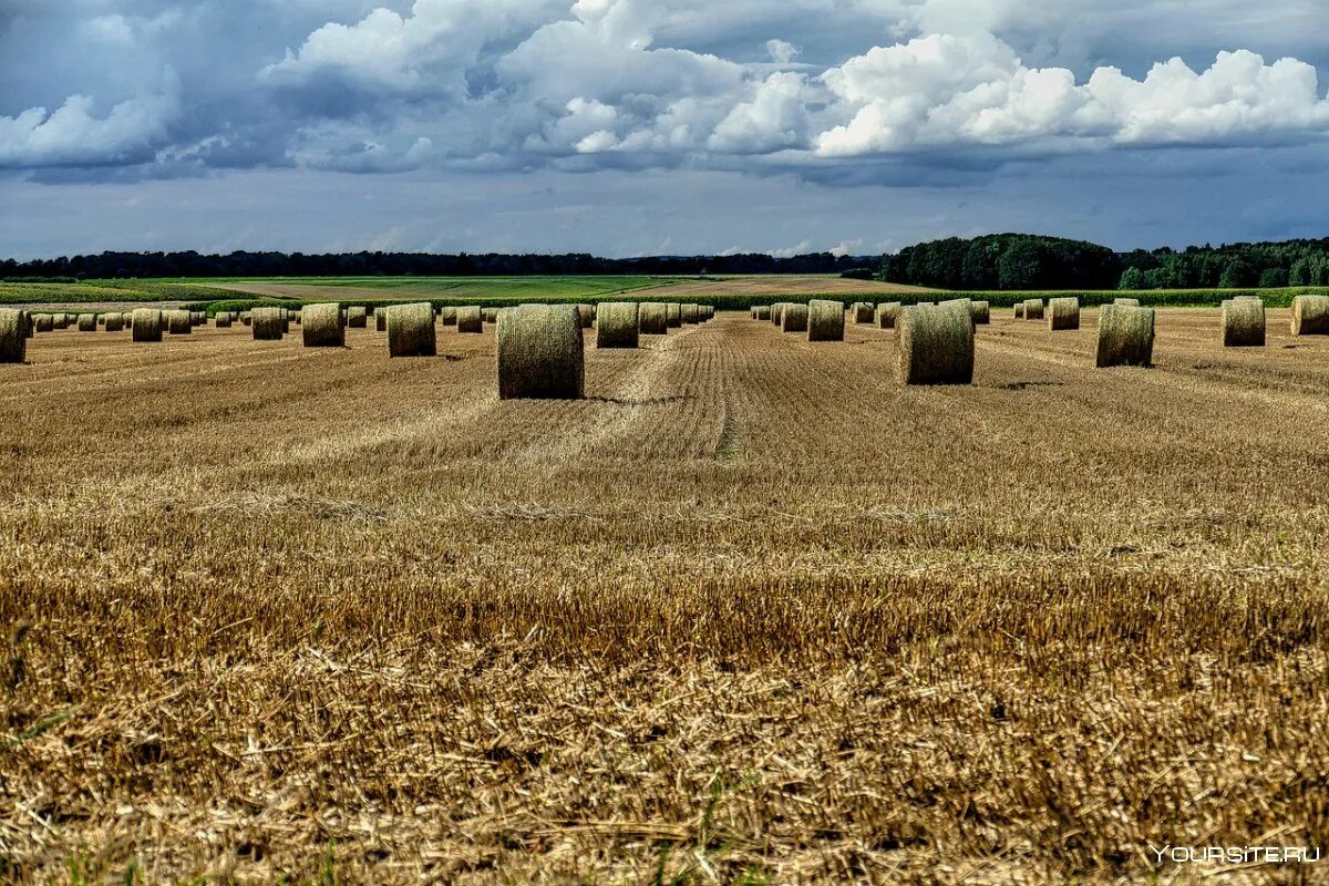 Сх поле. Агрокультурный ландшафт сельскохозяйственные. Великобритания пахотные земли. Превращение сухих лугов в пахотные поля. Сельское хозяйственные поля Сербии.
