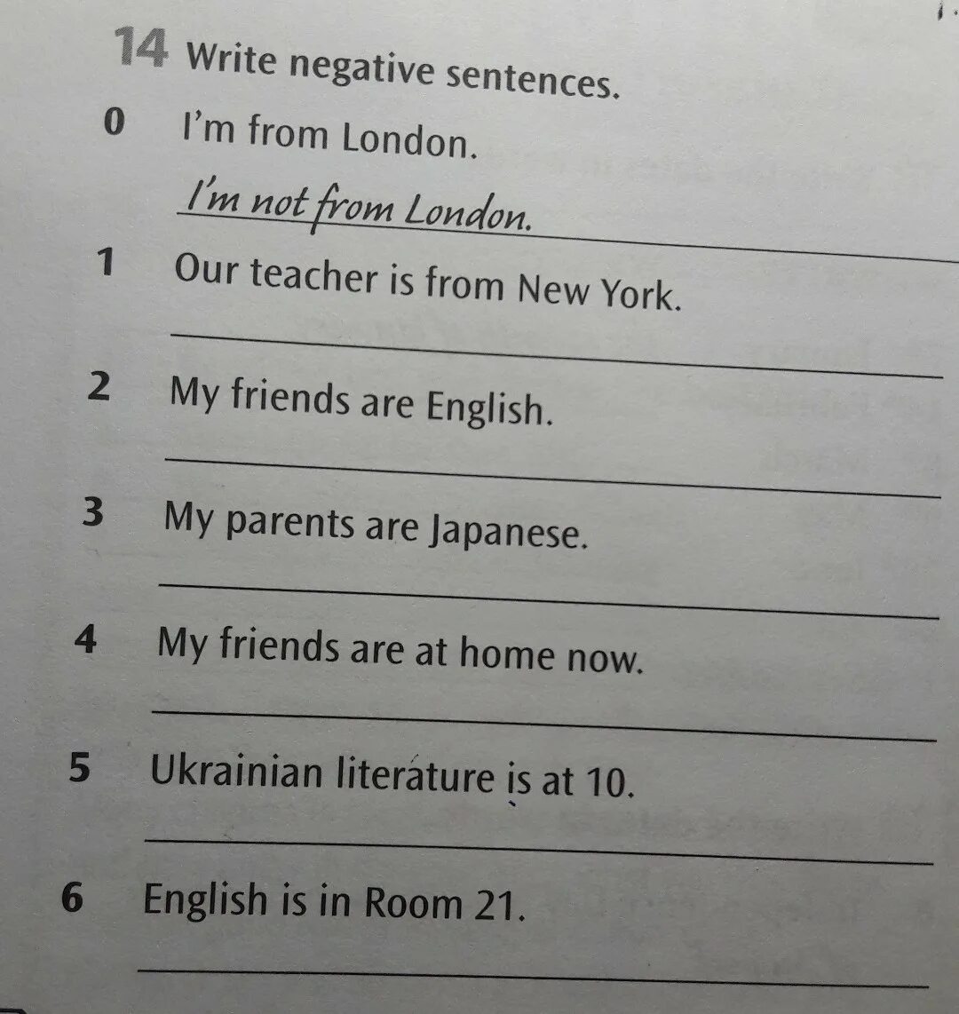 Write negative sentences. Shep negative sentence. Write negative sentences use short forms