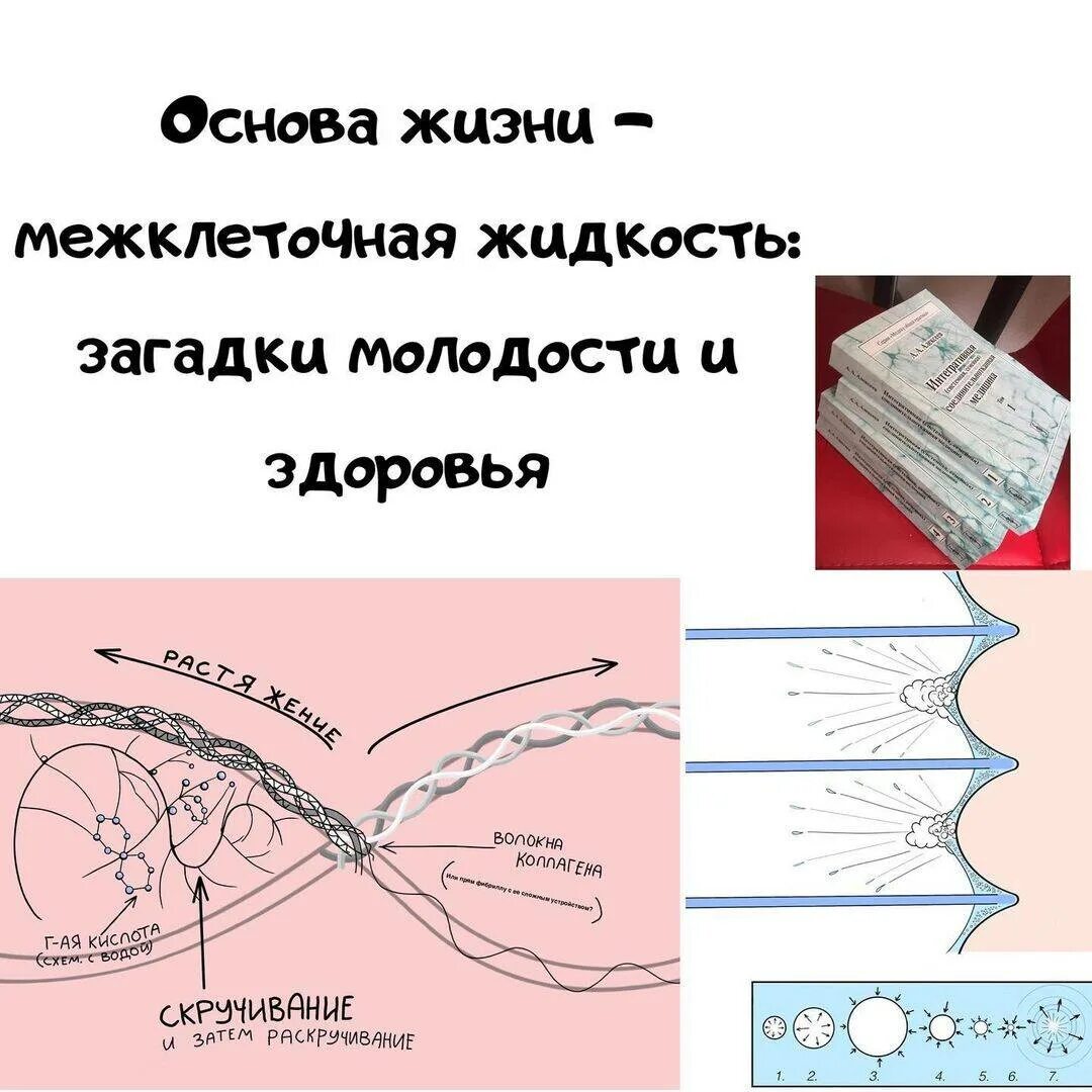 Застой межклеточной жидкости. Избыток межклеточной жидкости. Жидкость в межклеточном пространстве. Для выведения межклеточной жидкости. Межклеточная вода в организме