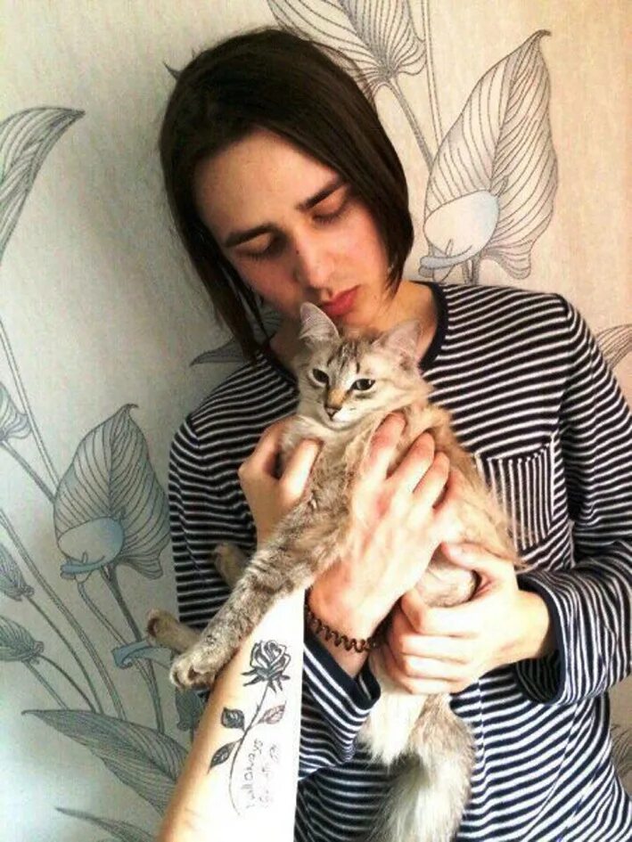 Face кот. Face кот