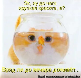 Эх ну
