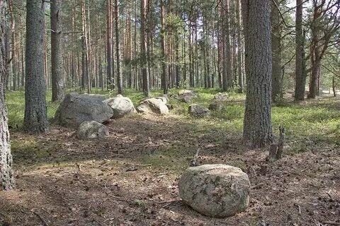 Санатории каменная гора бабаево