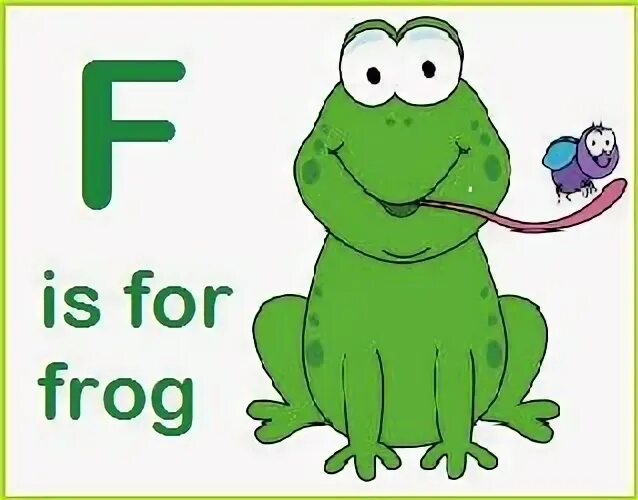 F frog