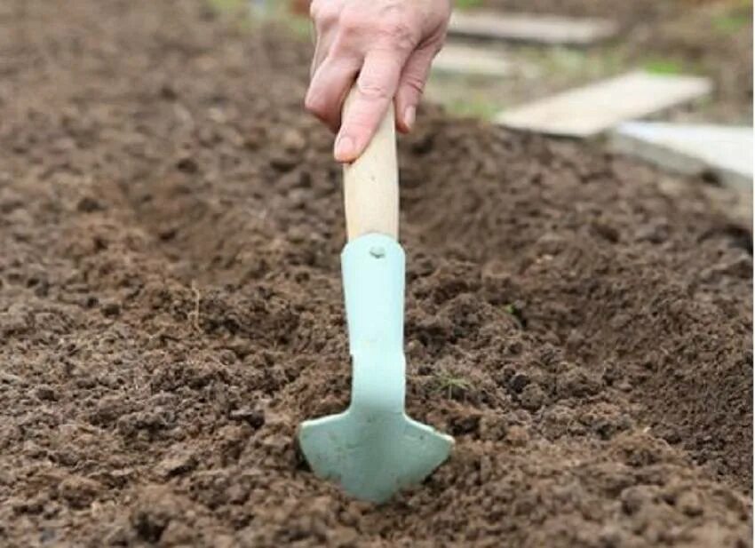 Какая должна быть земля для посадки. Рыхление почвы. Посев семян в бороздки. Подготовка почвы к посадке. Рыхление грядок.