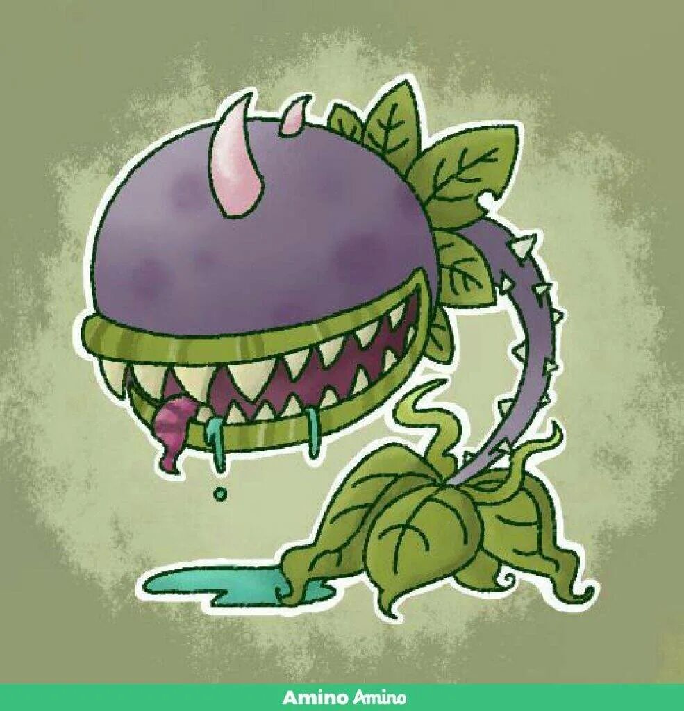 Pvz rule