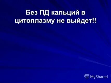 Без п д