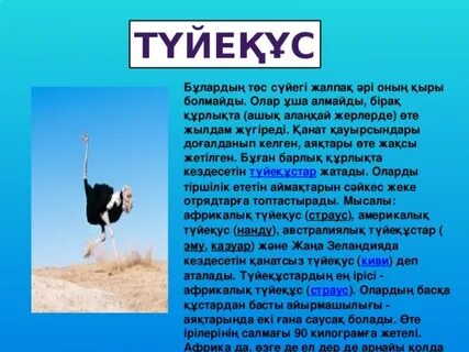 Слава Фролованың секс фотосуреттері