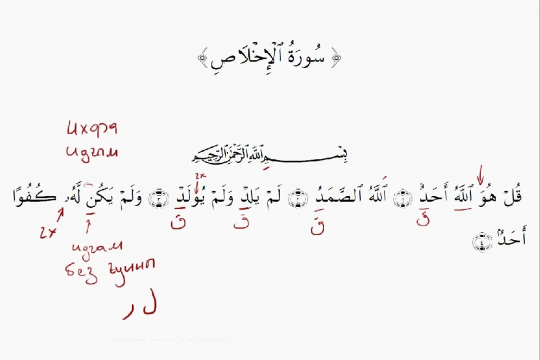 Аят аль такасур. Уроки чтения суры. Уроки чтения суры. Выучить суру мульк. Разбор сур по правилам таджвида.
